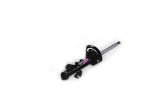 Load image into Gallery viewer, DOBINSONS GAS STRUT LH (BLACK) - GS29-430B LHB