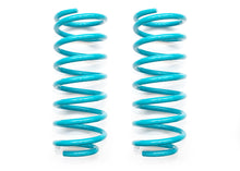 Load image into Gallery viewer, COIL SPRINGS PAIR - C31-077