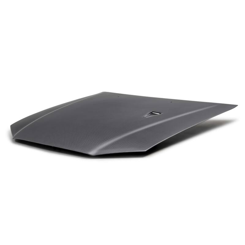 Seibon 99-02 Nissan Skyline R34 GT-R Signature V-Style Dry Carbon Hood  - Matte